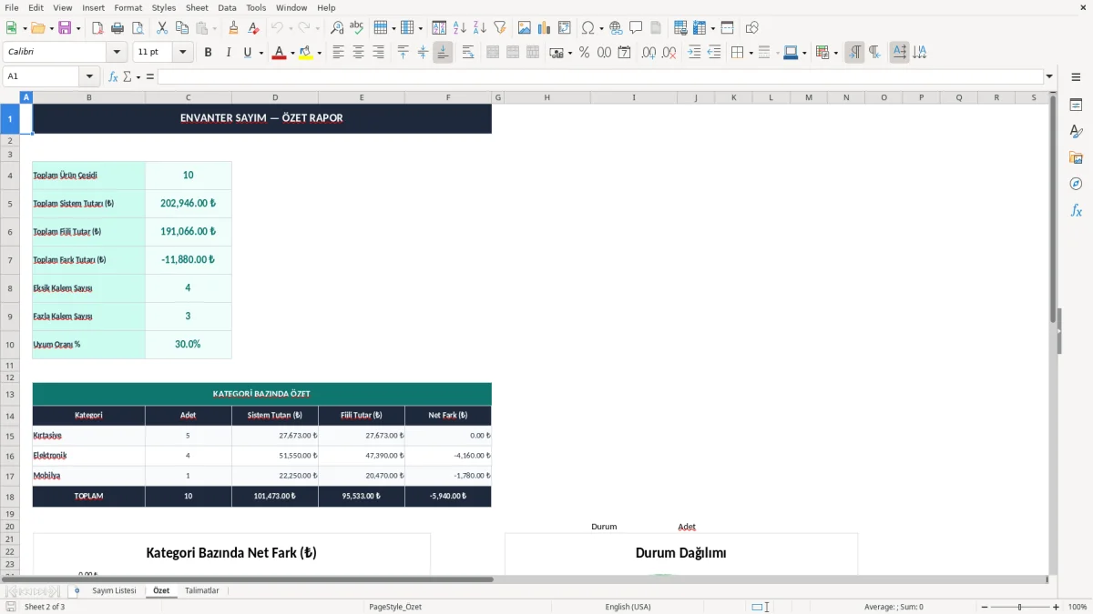 Ekran görüntüsü 2: Özet sekmesi - Excel şablonu envanter sayım excel şablonu