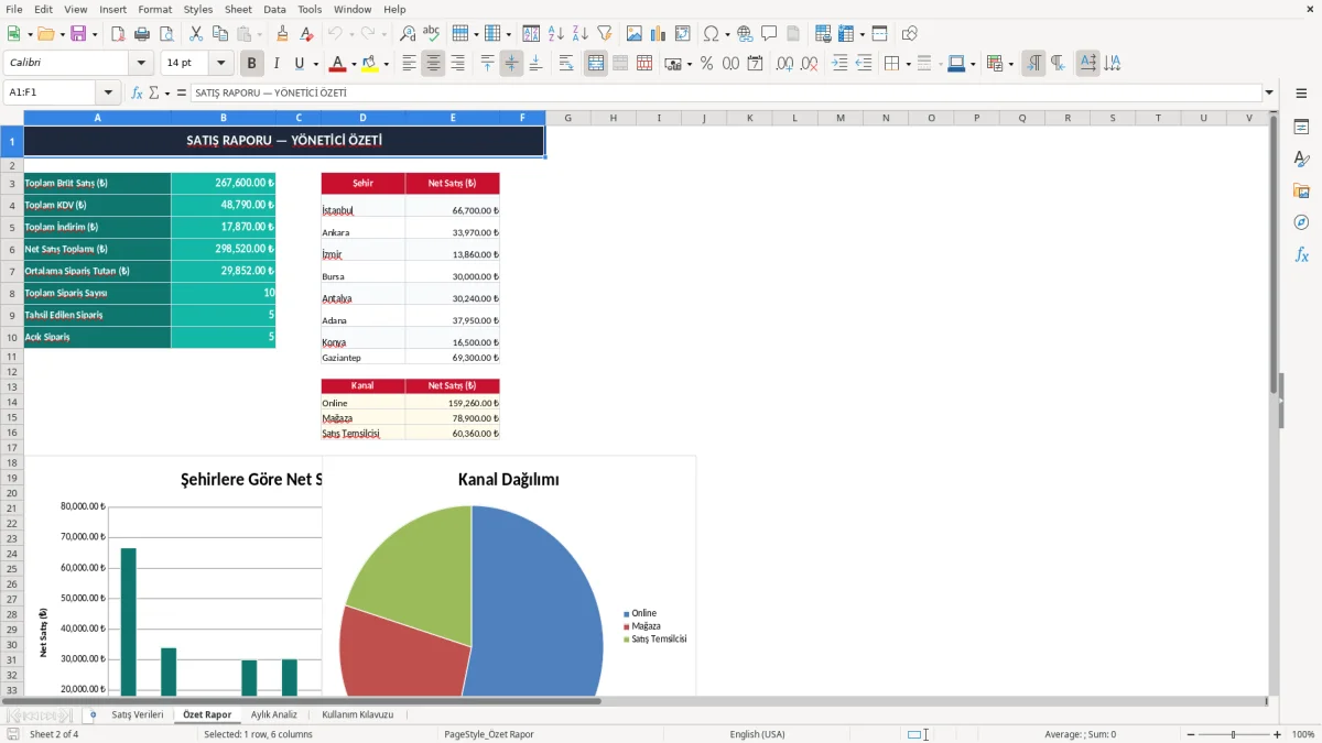 Ekran görüntüsü 2: Özet Rapor sekmesi - Excel şablonu satış raporu excel şablonu