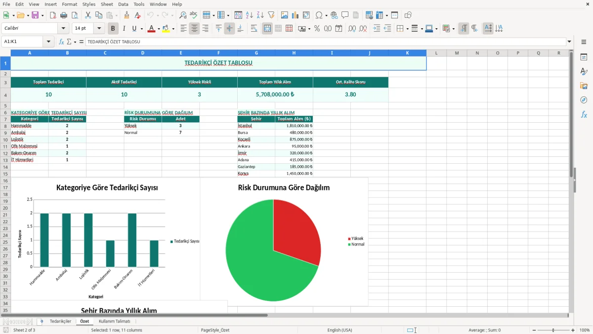 Ekran görüntüsü 2: Özet sekmesi - Excel şablonu tedarikçi listesi excel şablonu