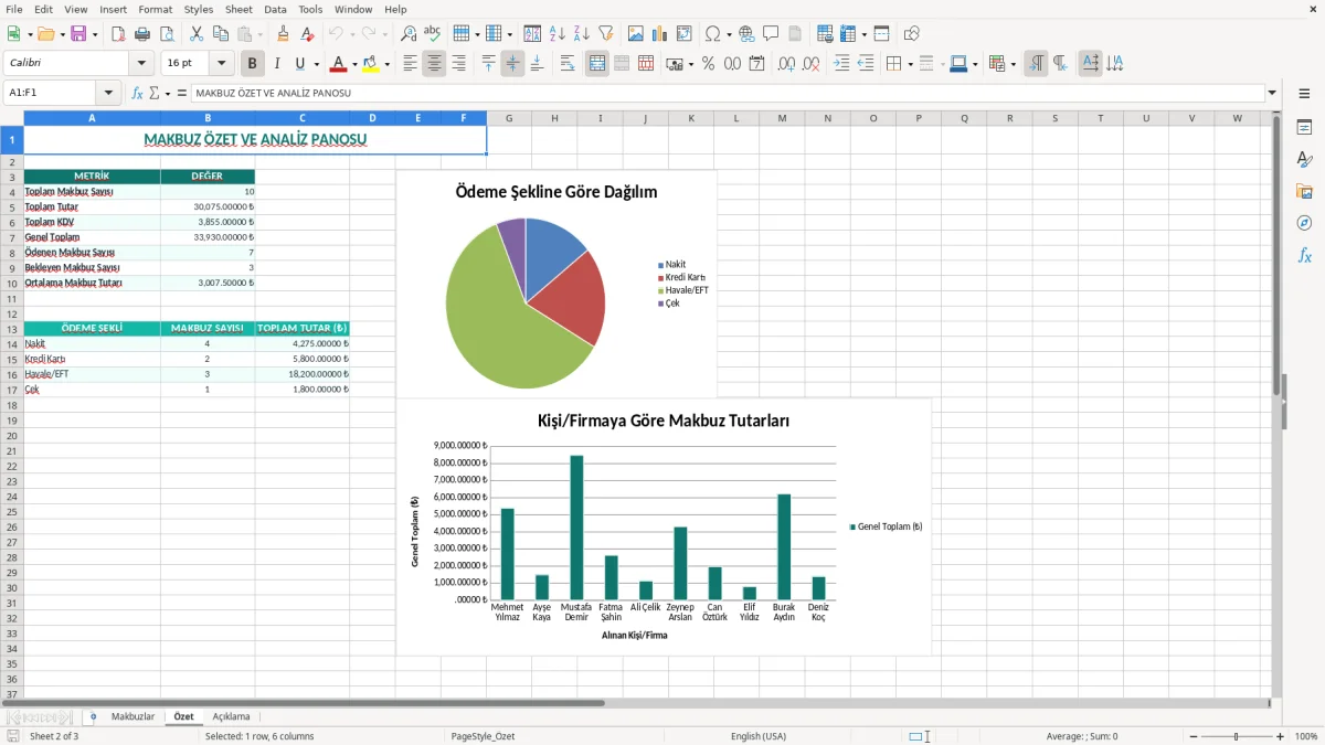 Ekran görüntüsü 2: Özet sekmesi - Excel şablonu makbuz excel şablonu