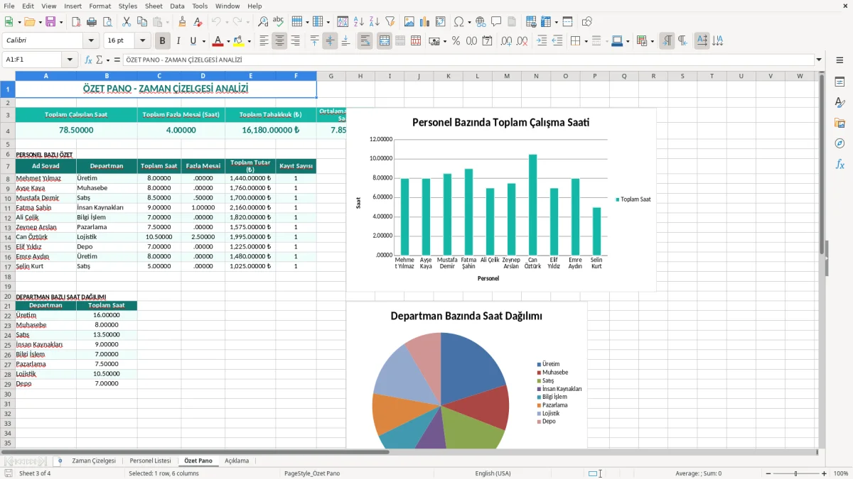 Ekran görüntüsü 3: Özet Pano sekmesi - Excel şablonu zaman çizelgesi excel şablonu