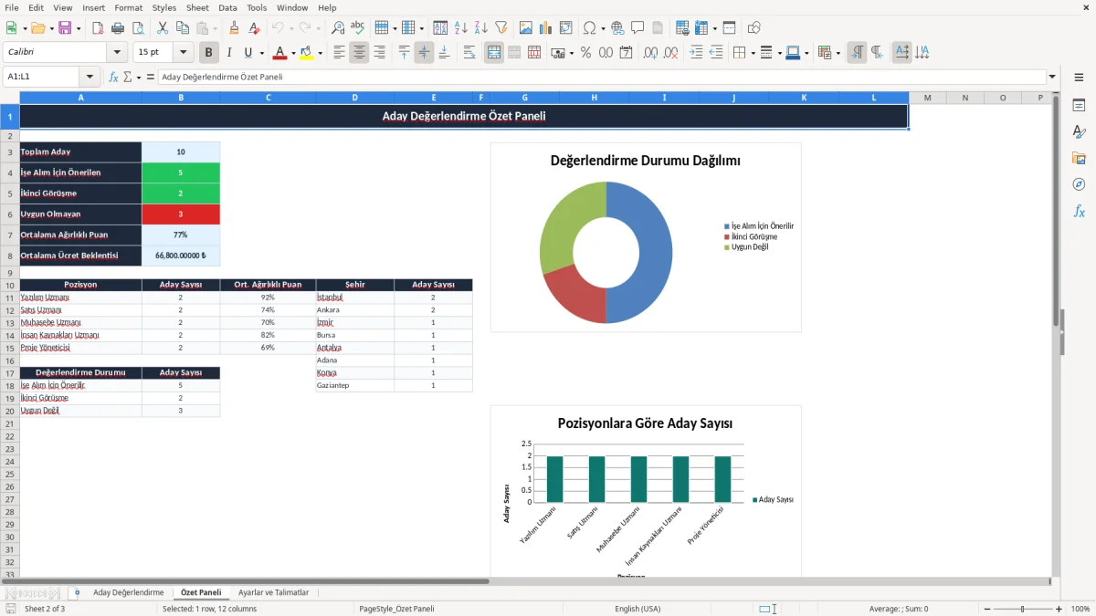 Ekran görüntüsü 2: Özet Paneli sekmesi - Excel şablonu aday değerlendirme excel şablonu