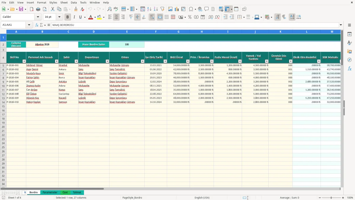 Ekran görüntüsü 1: Bordro sekmesi - Excel şablonu maaş bordrosu excel şablonu