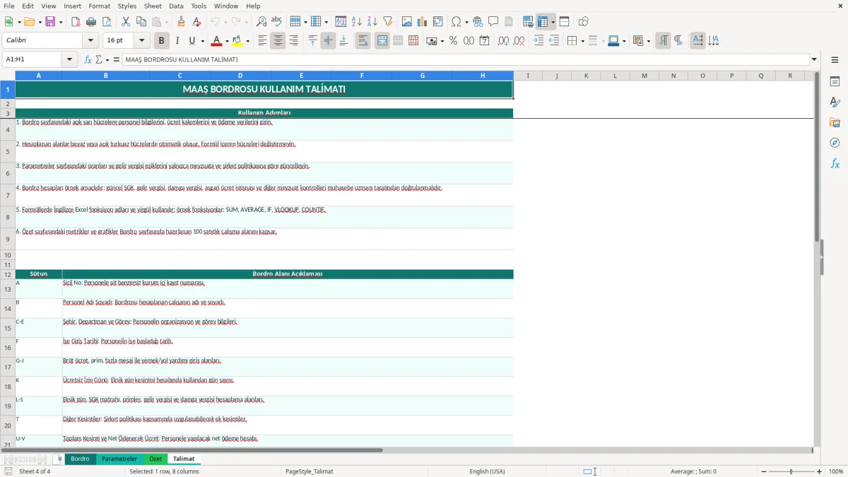 Ekran görüntüsü 4: Talimat sekmesi - Excel şablonu maaş bordrosu excel şablonu