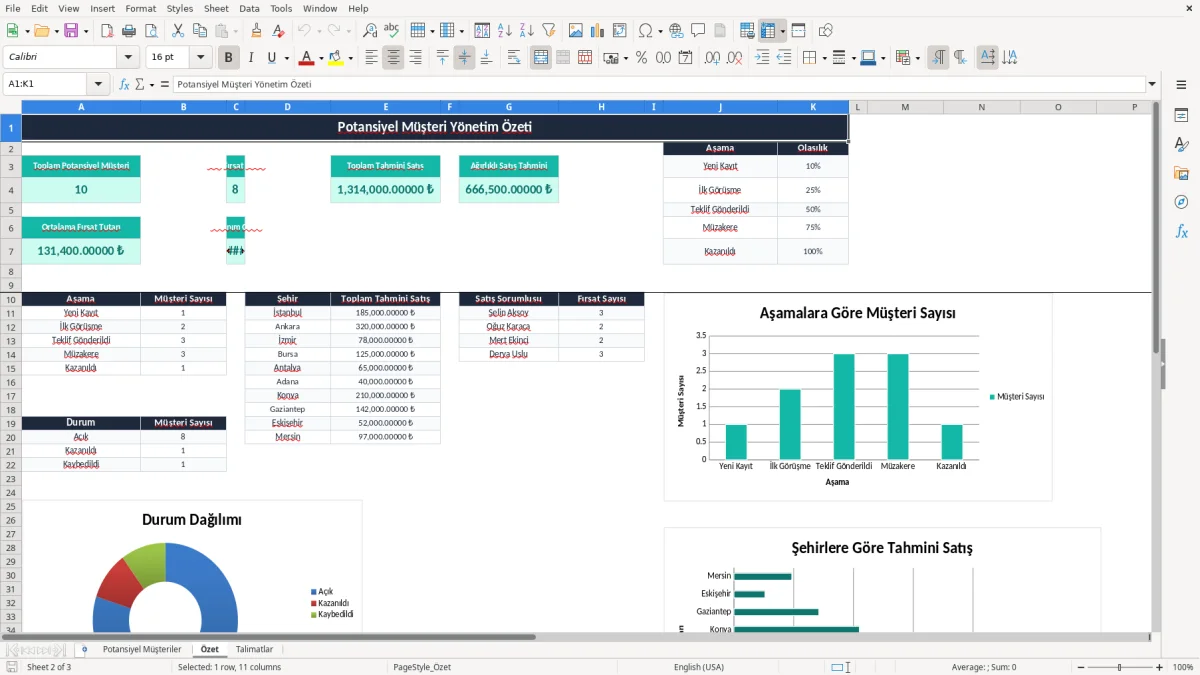 Ekran görüntüsü 2: Özet sekmesi - Excel şablonu potansiyel müşteri excel şablonu