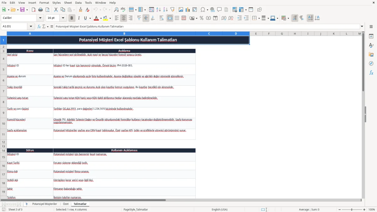 Ekran görüntüsü 3: Talimatlar sekmesi - Excel şablonu potansiyel müşteri excel şablonu